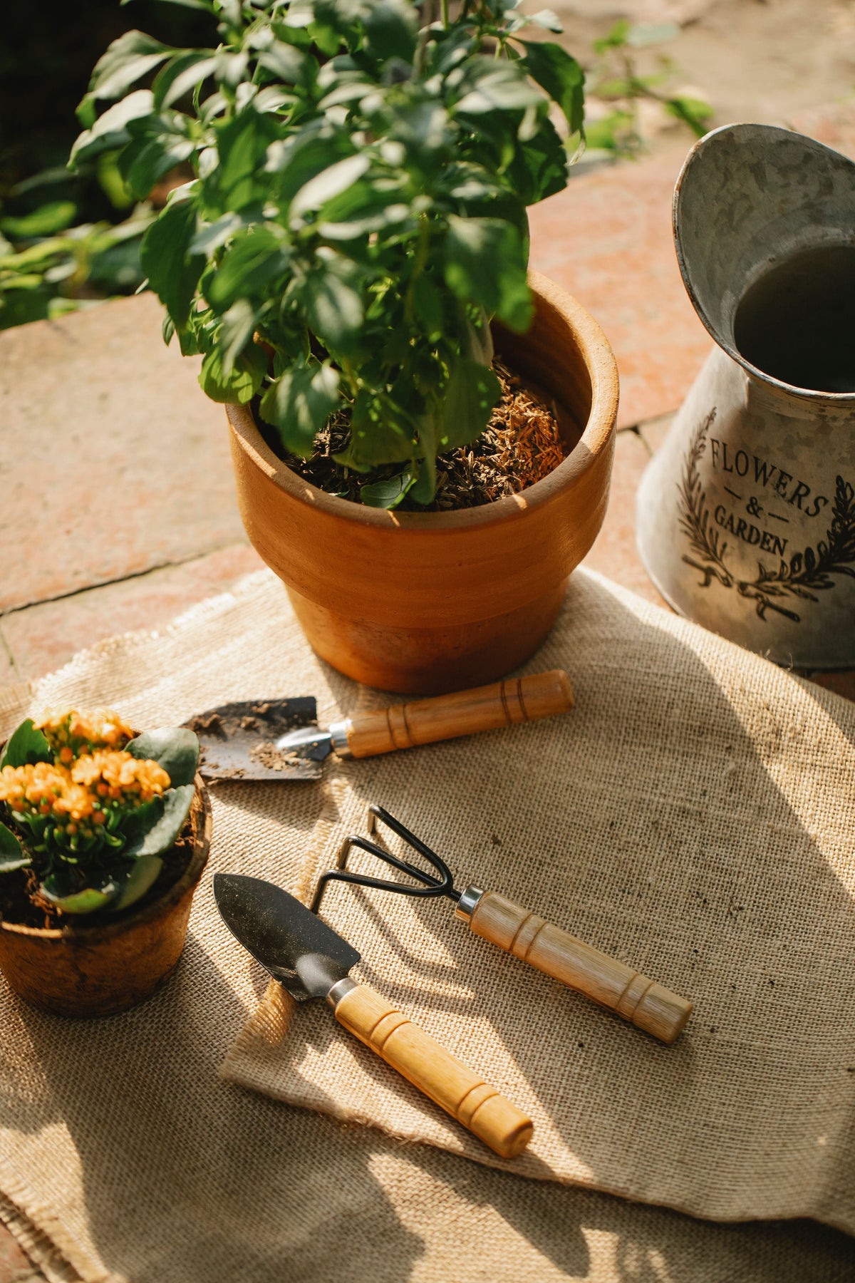 Home and Garden