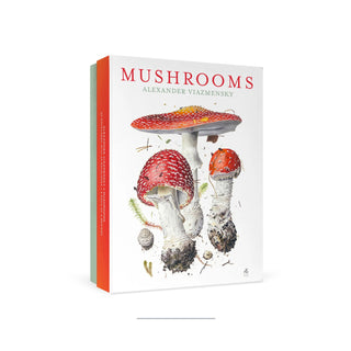 Mushrooms Boxed Note Set