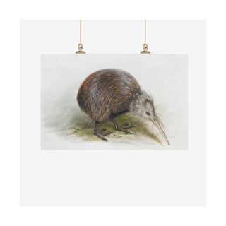 George Lodge Kiwi Tea Towel