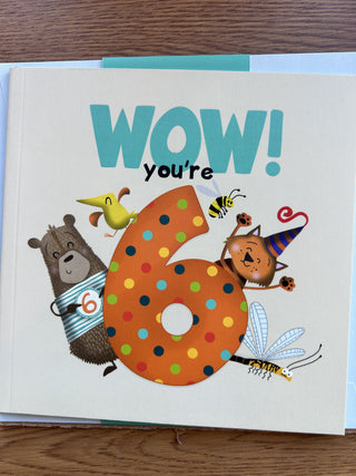 WOW! you're 6 Birthday Booklet