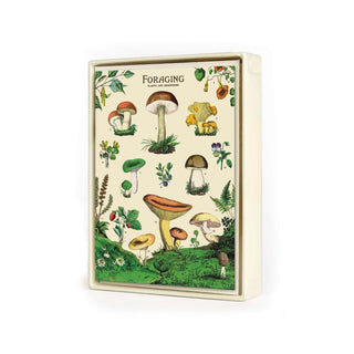 Foraging Boxed Notecards 4x2